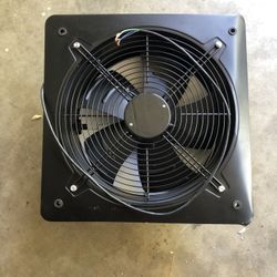 Fan