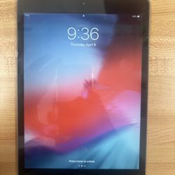 iPad Mini 2