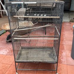 Bird Cage