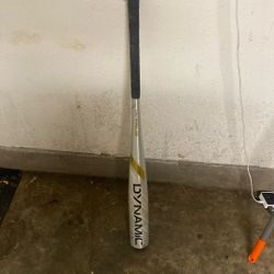 Dynamic Bb Core Bat