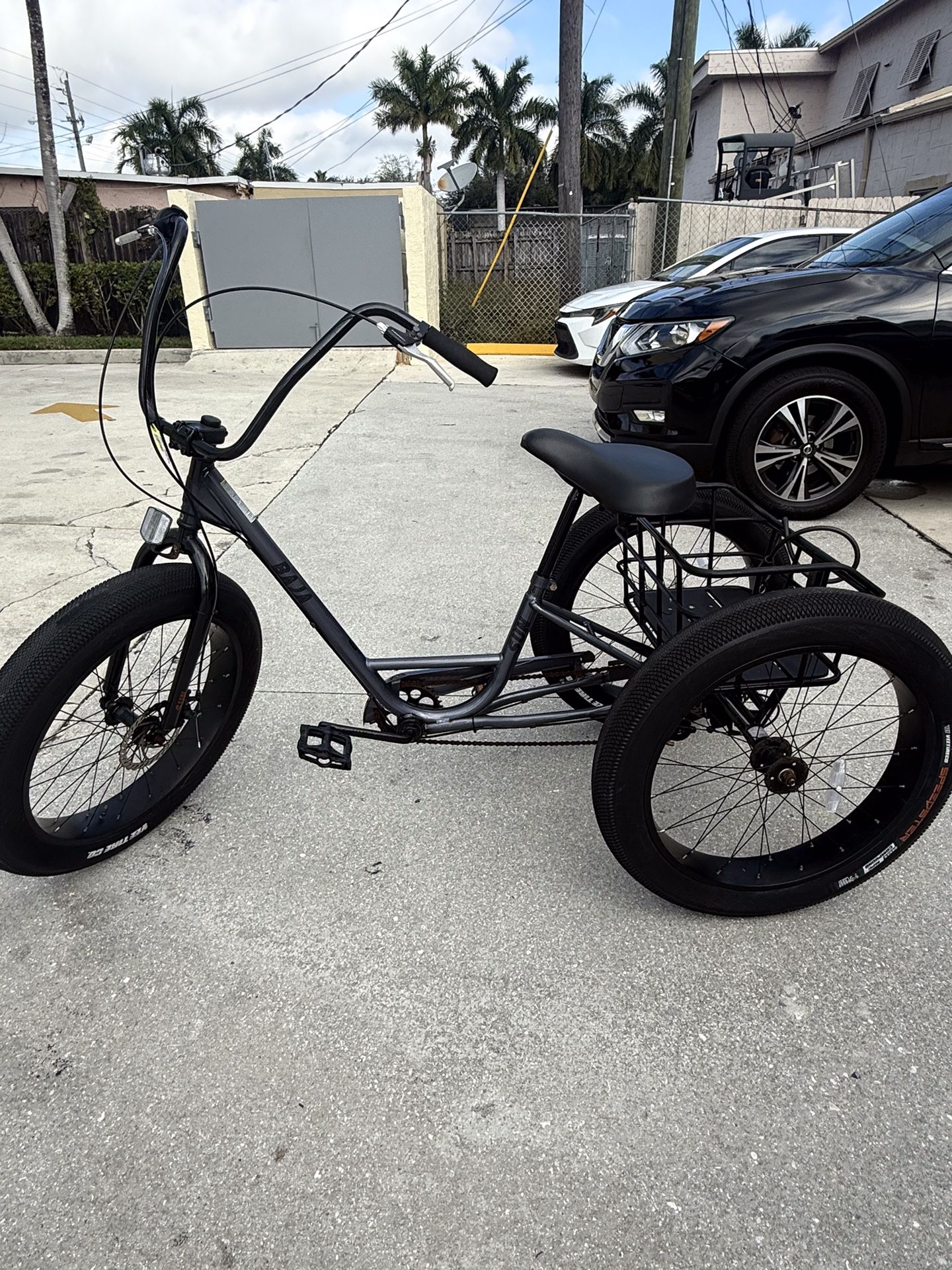 Baja Three Wheel Bicycle With Big Wheels