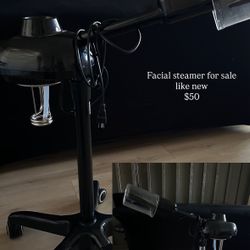 Facial Steamer 