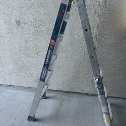 Multi Position Ladder