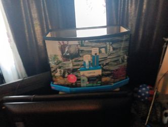 Top 10 Fish Aquarium 40 Gallon Has Everything That Needs To Start Having Fish Right Away It's A Complete Package Great For A First-time Fish Owner