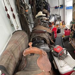 Horse Saddles For Sale