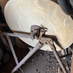 Sharping Stone / NEEDS A NEW PETAL