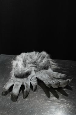 Werewolf Halloween Costume Hands