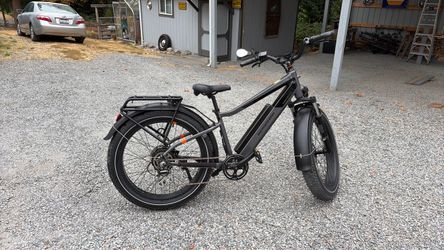 Rad Power Bikes Electric Fat Tire Bike