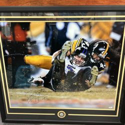 NFL Troy Polamalu Signed 20x30 Picture - Authentic