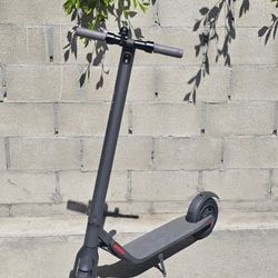 Ninebot Electric Scooter