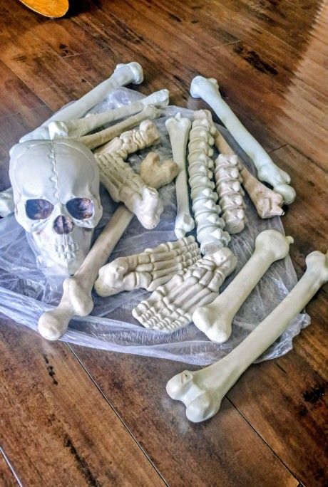 Bag Of Bones