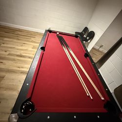 Pool/Ping Pong Table