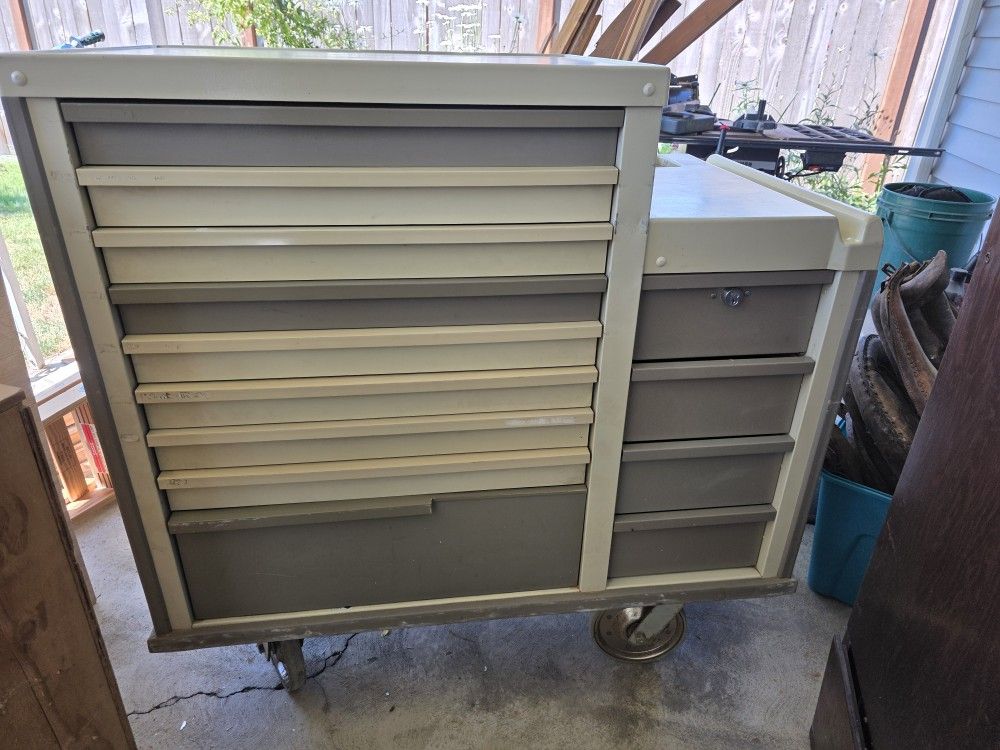 Lionville Medication Cart
