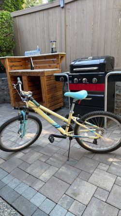 13” Kids bike