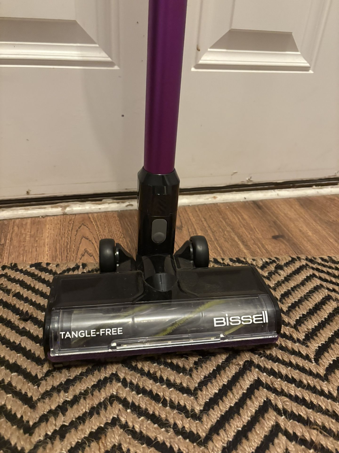 Bissel Cordless Pet Vacuum