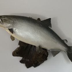 Salmon Wall Mount