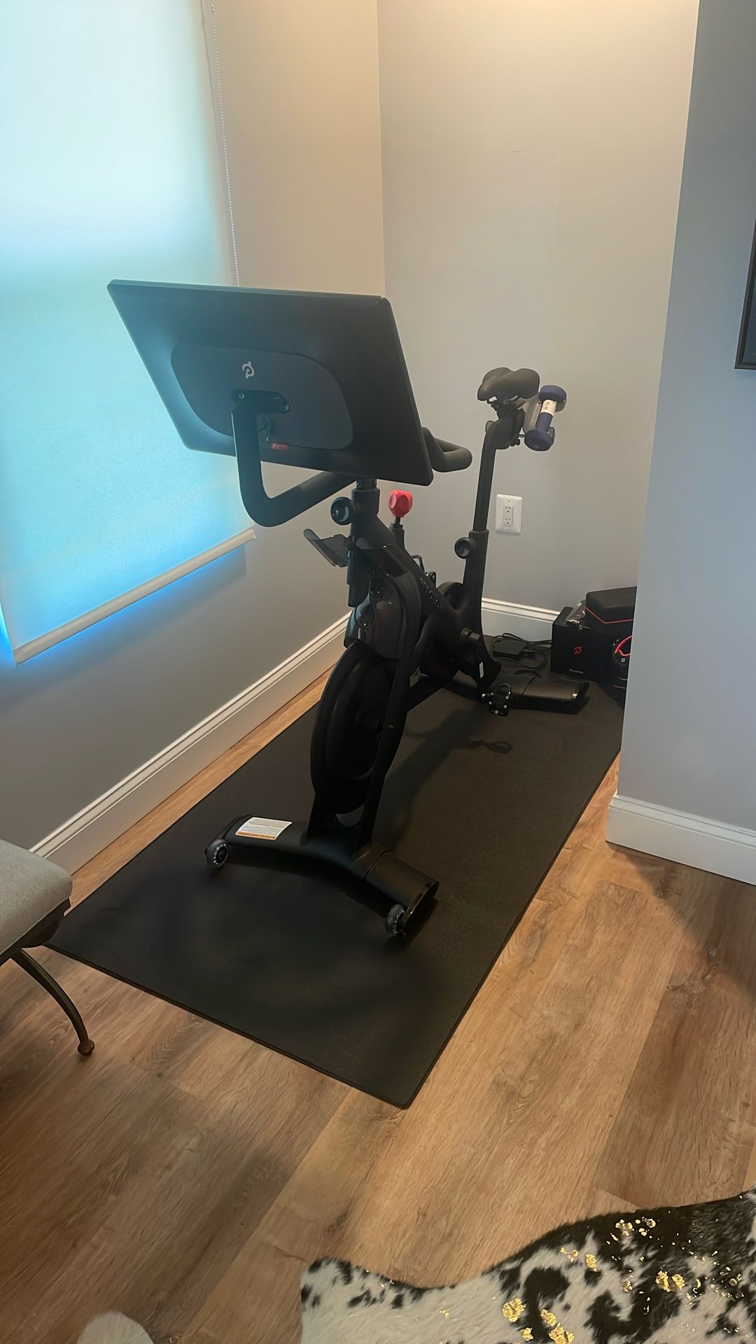 Peloton Bike +