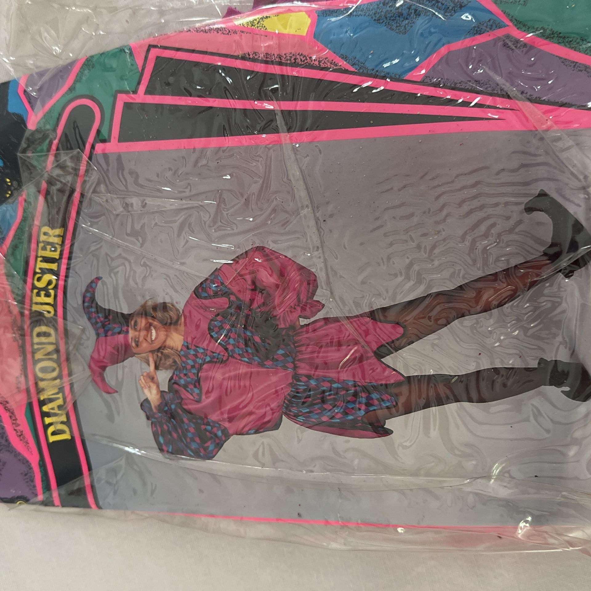 Adult Jester costume