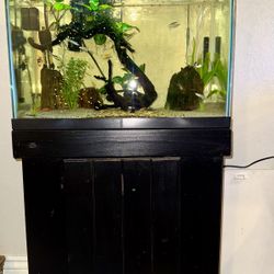 30 Gallon Aquarium 