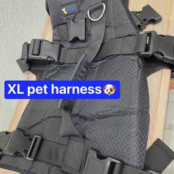 New pet harness
