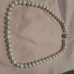 Pearl Necklace