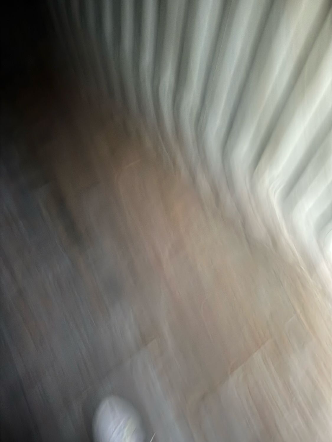 SHIPPING CONTAINERS! USED AND NEW! 20β & 40β AVAILABLE