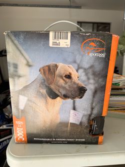 Dog in Ground fence system