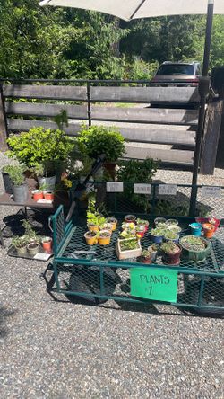 Garage sale