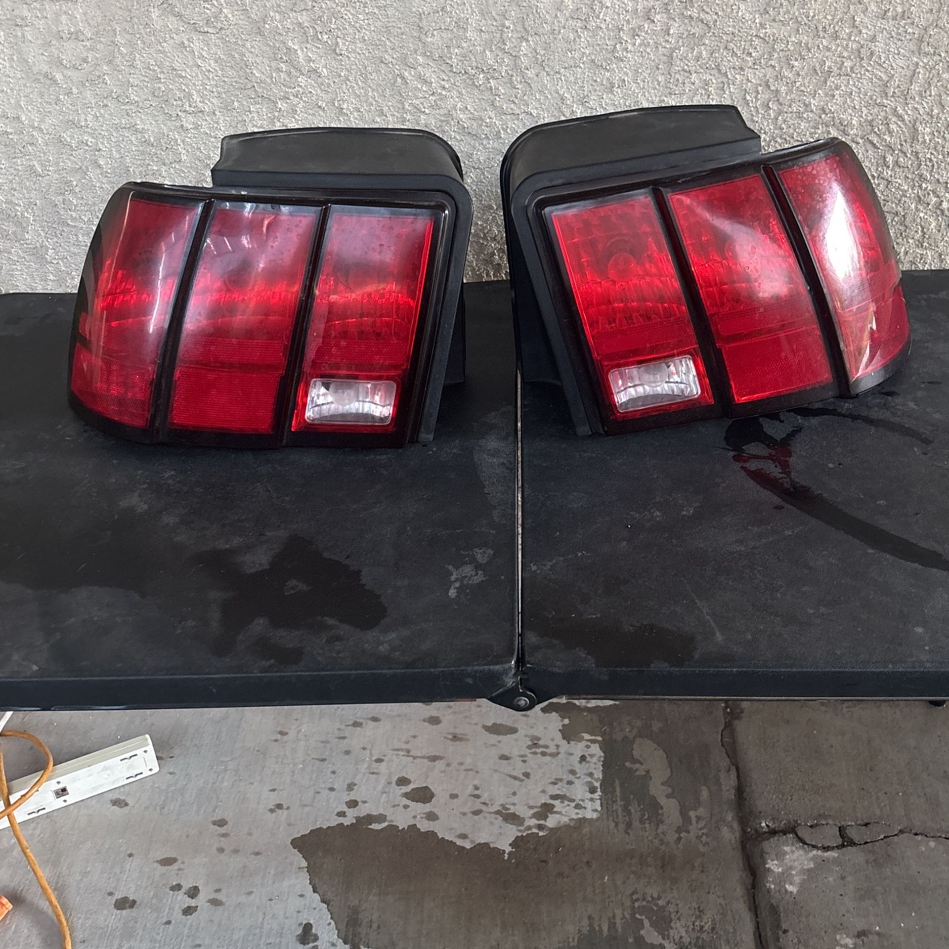 Taillights mustang
