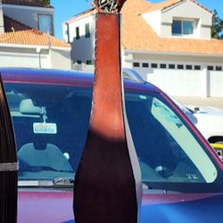 Both Decor Vases And Plants 