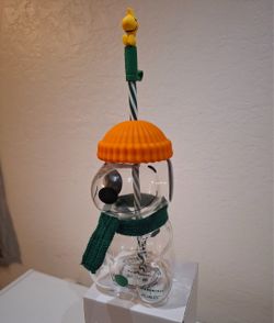 Starbucks x Peanuts Snoopy & Woodstock Glass Cup – $30 Each