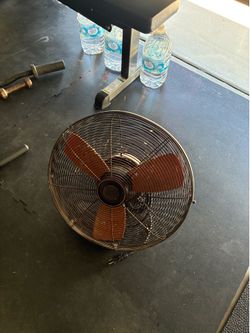 Fans