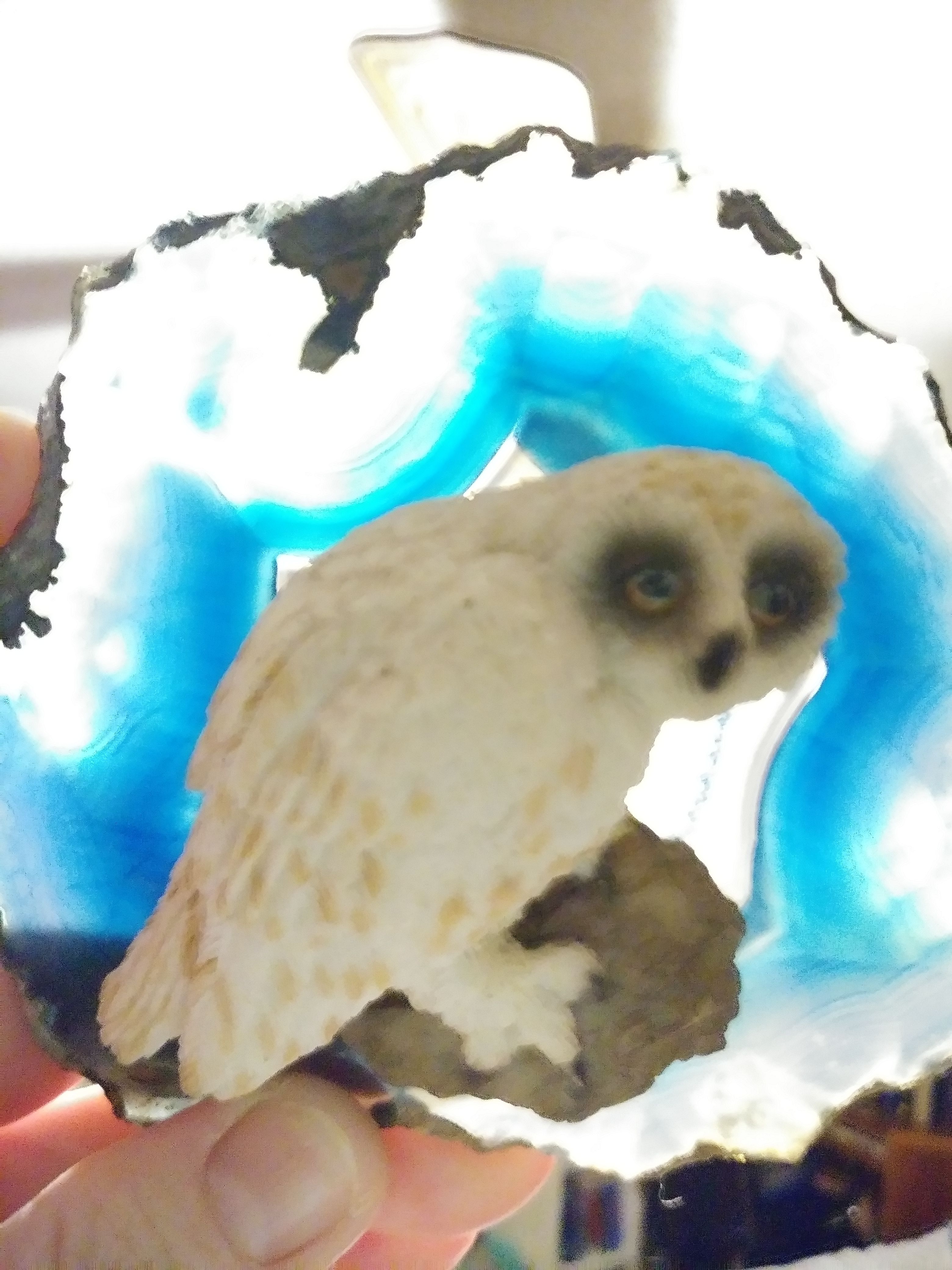 Beautiful Brazilian Agate Slice with Owl ~ cool paperweight or gift