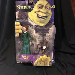 Shrek/ Princess Fiona 