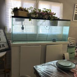 100 Gallon Tank With Sand 