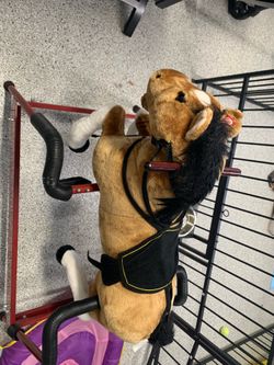 Horse rider for children