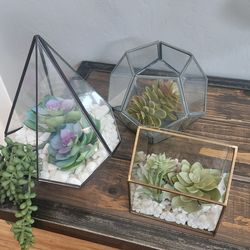 3 glass artificial Plants decor $10 for all