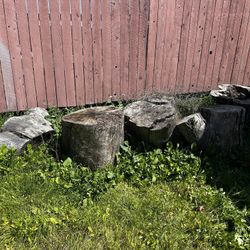 Tree Stumps