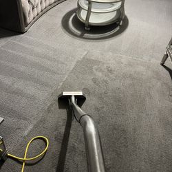 Carpet Cleaner