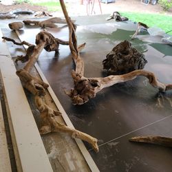 Wood For Aquarium, Reptike Cage, Crafts