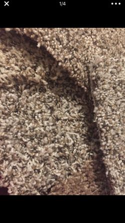Carpet and vinyl