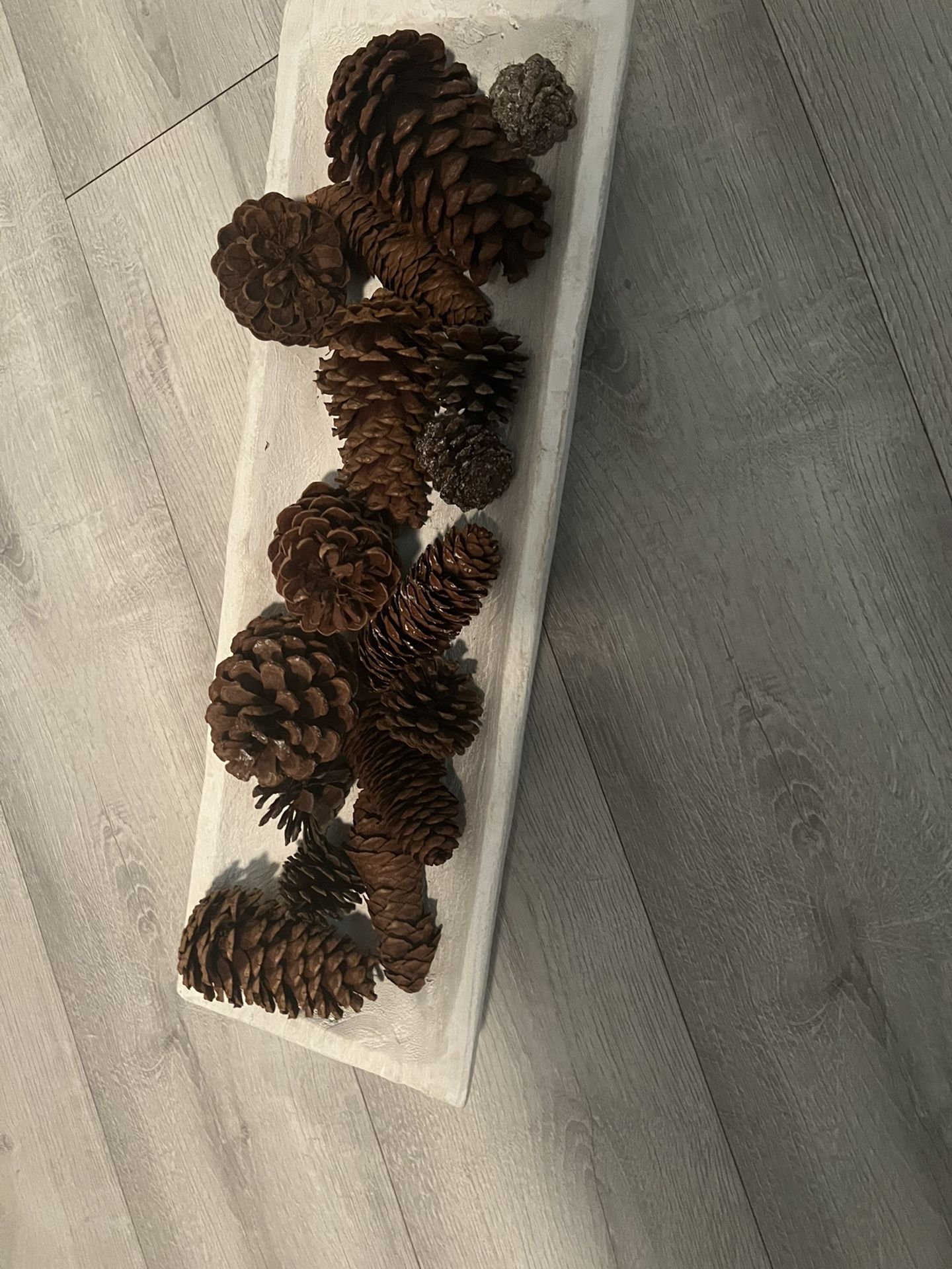 Large Bowl With PineCones 