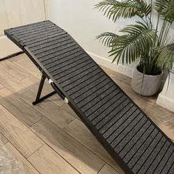 Dog Ramp 55”