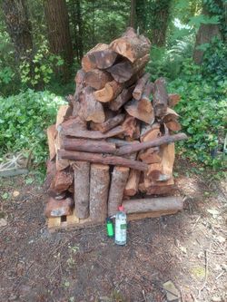 Seasoned firewood