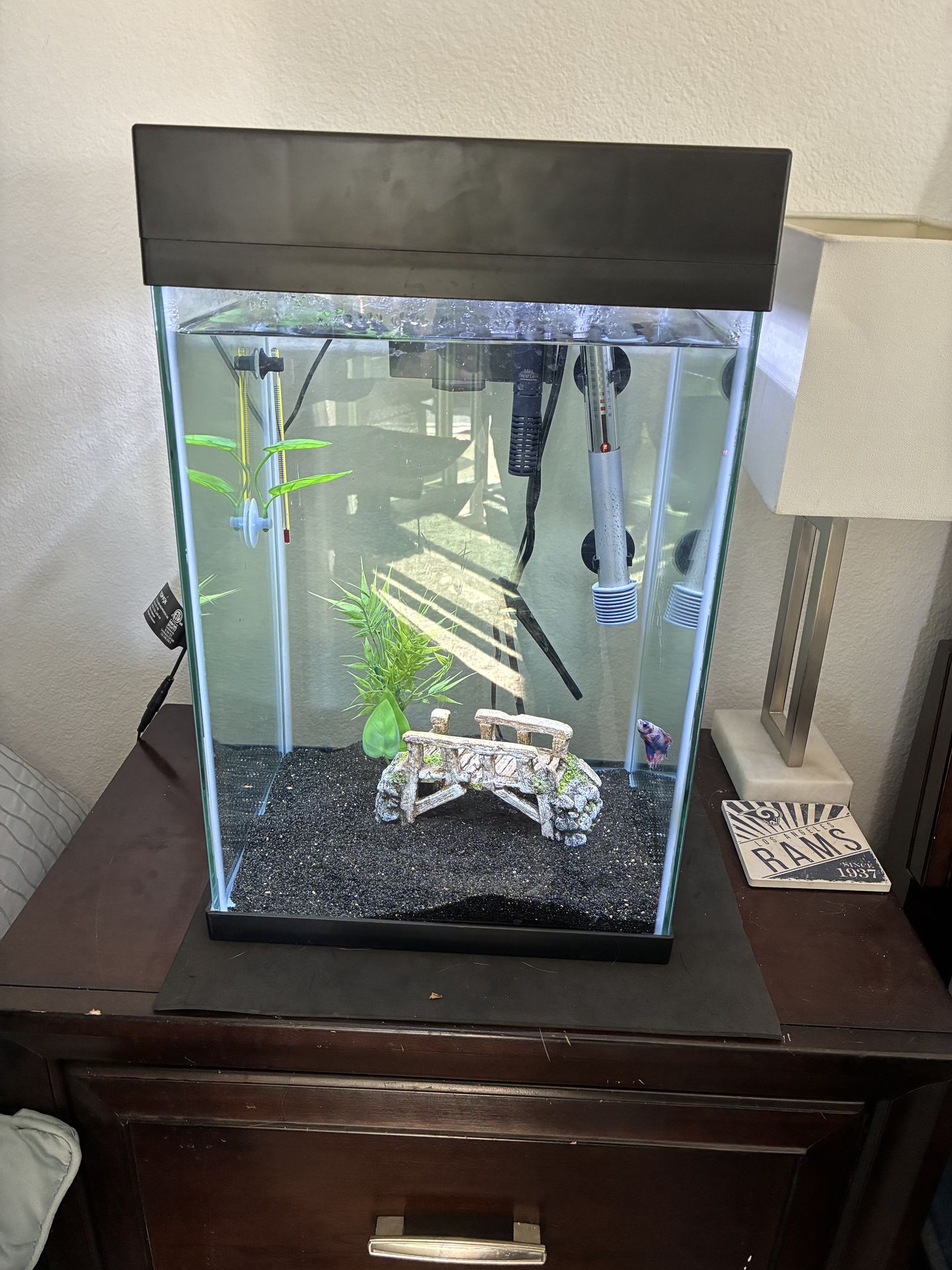Top Fin Fish tank
