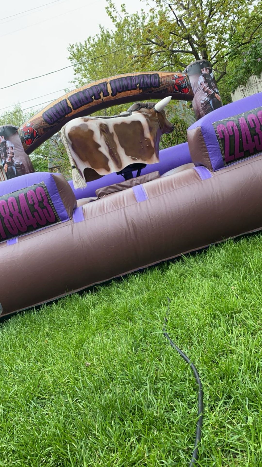 Mechanical Bull