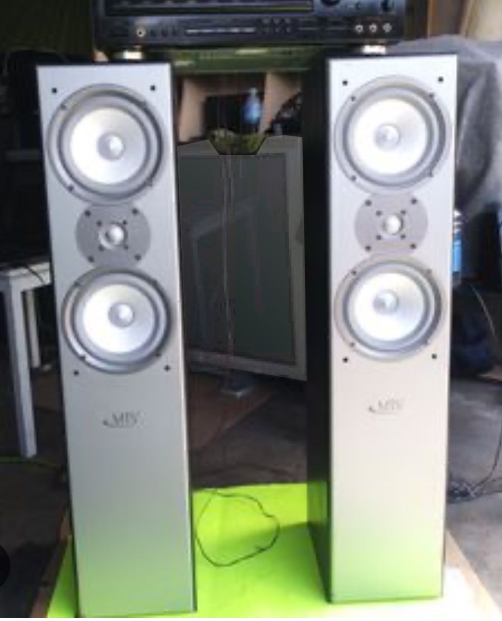 (2) MTS Dual 6.5” 100w Audiophile Tower Speakers