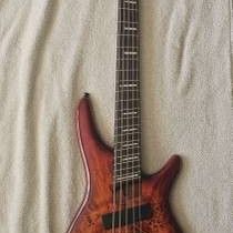 Ibanez SRMS805 W/ Gigbag