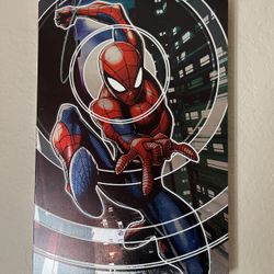 Spider-Man Frame