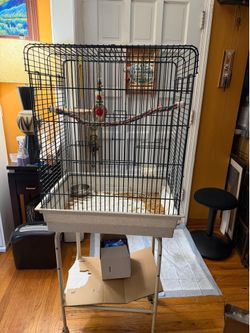 Bird cage